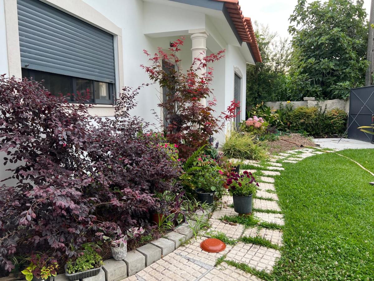 Beautiful Little Country House Villa Carvide Eksteriør bilde